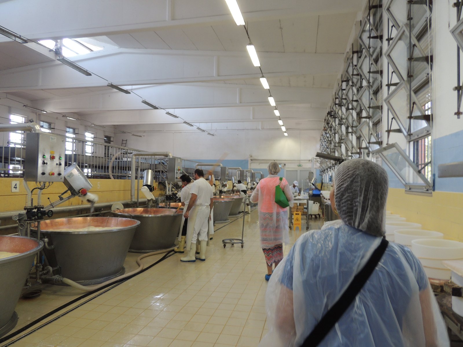 Parmigiano Reggiano cheese tour, Parma, Italy