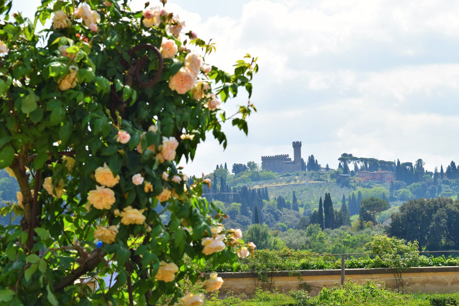 boboli gardens, Florence