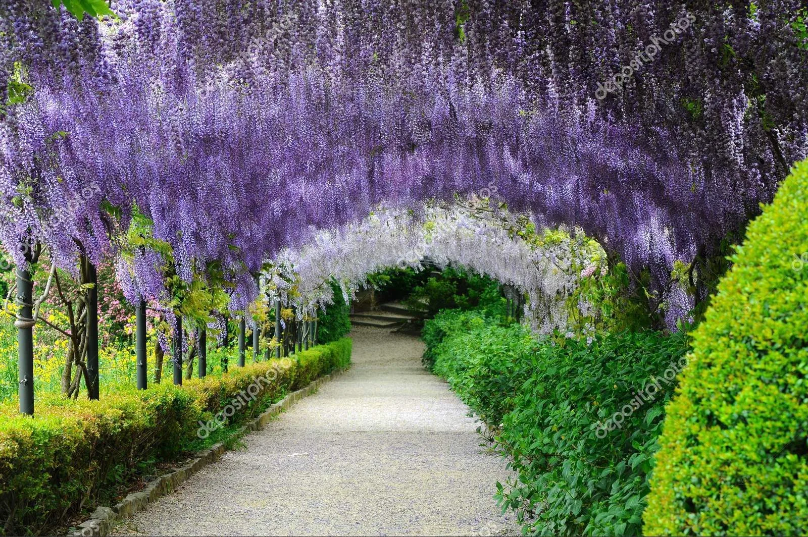 The Bardini Garden in Florence, Italy is a hidden gem with beautiful panoramic views of the city. ouritalianjourney.com; https://ouritalianjourney.com/the-bardini-garden-panoramic-views-of-florence
