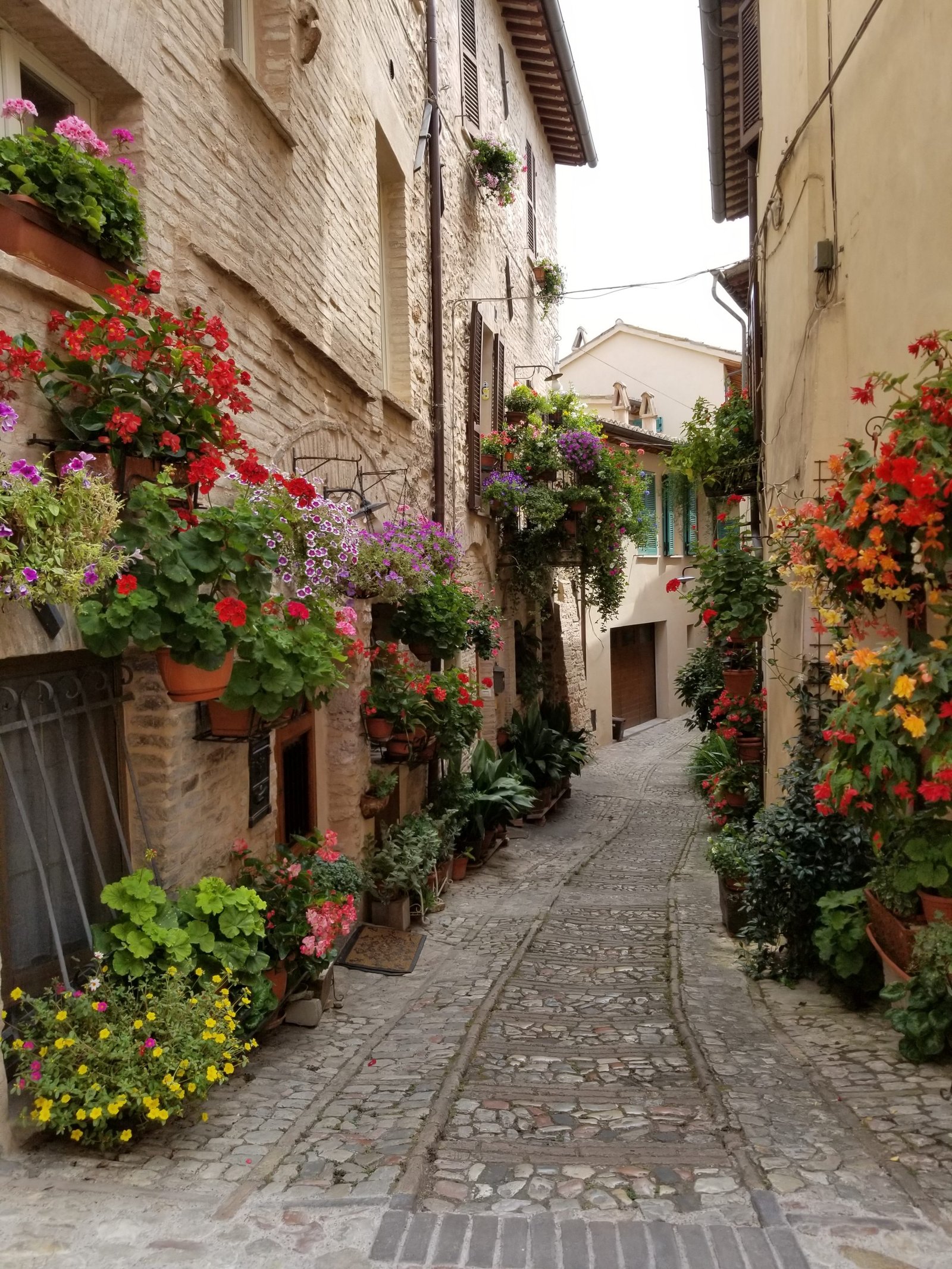Spello is one of the most beautiful towns in Italy. The flower balconies and streets are a photographers dream. Corpus Domini, https://www.ouritalianjourney.com/spello-one-of-the-most-beautiful-towns-in-italy