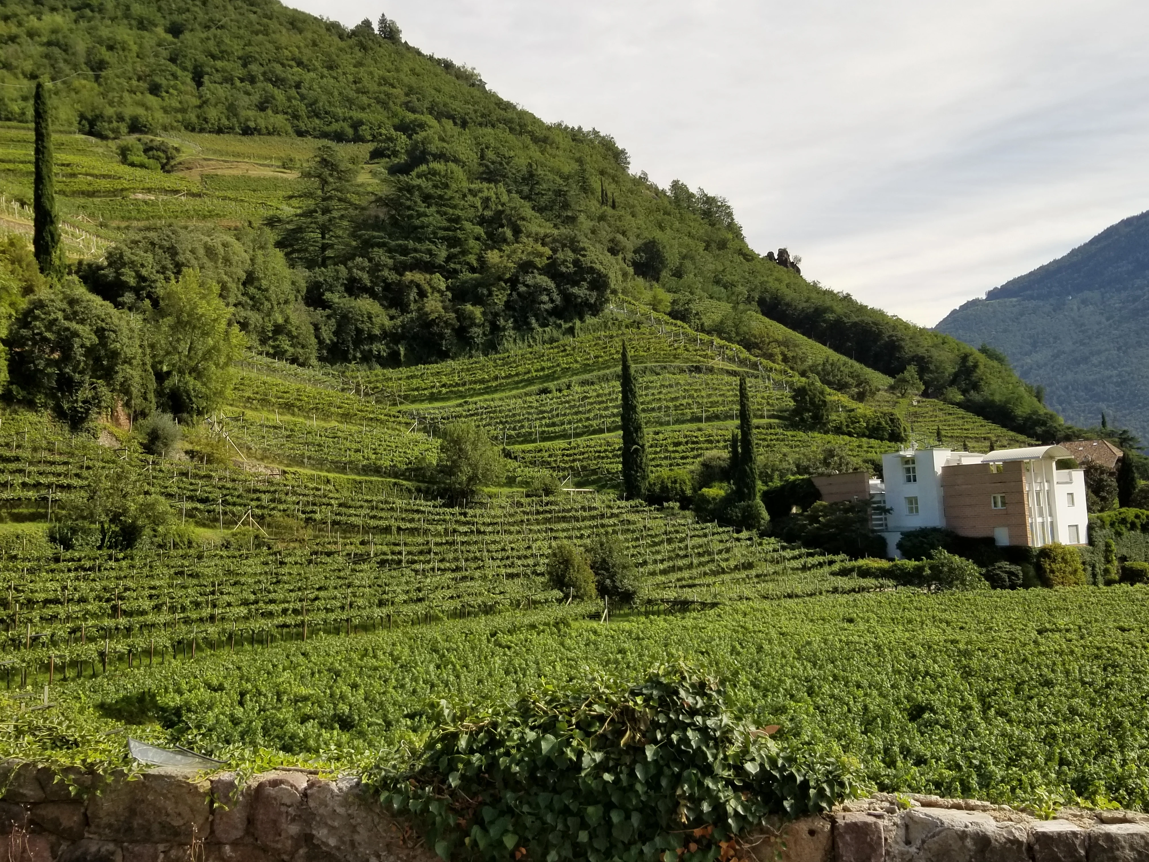 Bolzano located in northern Italy and the gateway to the Dolomites, The Italian Alps, ouritalianjourney.com
