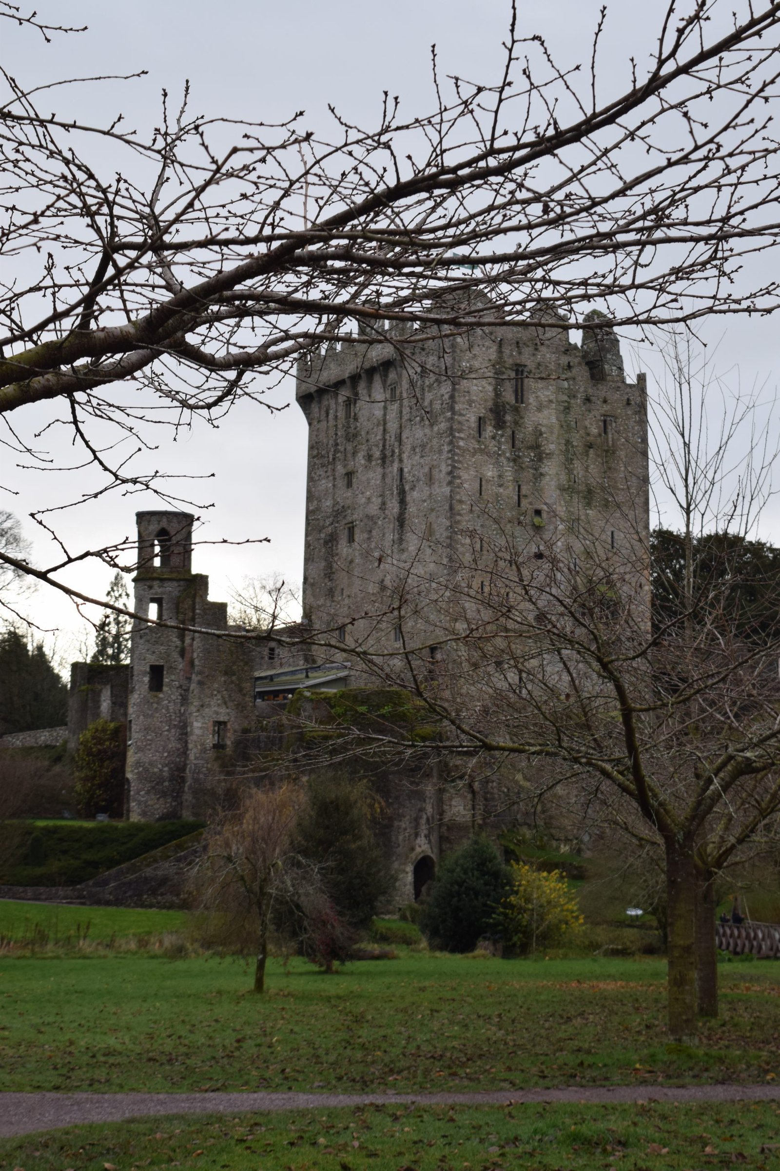 Blarney stone and castle in Cork, Ireland; what you need to know and a little history. ouritlianjourney.com; https://ouritalianjourney.com/blarney-stone-and-castle