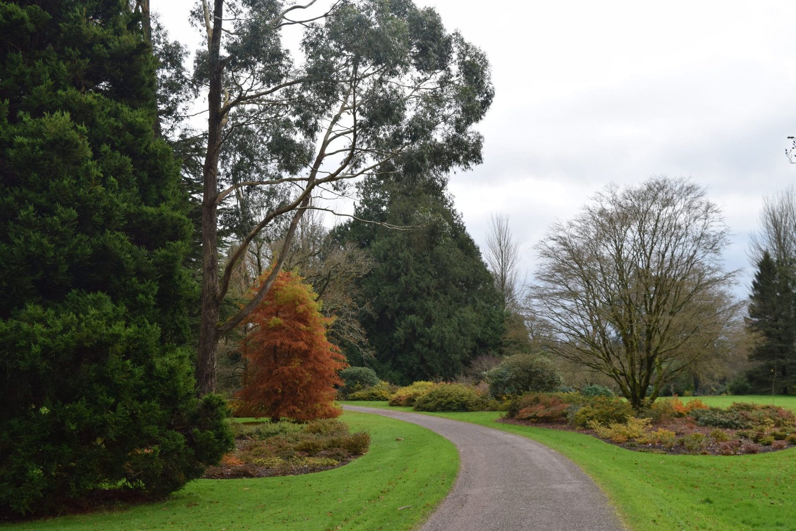 Blarney stone and castle in Cork, Ireland; what you need to know and a little history. ouritlianjourney.com; https://ouritalianjourney.com/blarney-stone-and-castle