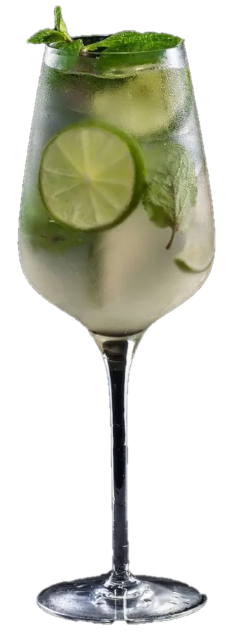 Hugo summer mint and prosecco cocktail recipe and history. ouritalianjourney.com