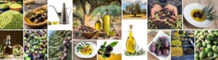 Italian olive oil - ouritalianjourney.com