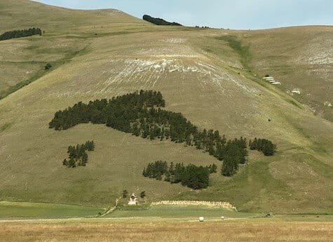 Trees left on the hill in the shape of Italy - ouritalianjourney.com