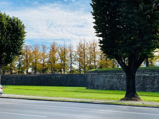 Fall trees on Lucca walls "Le Mura" - ouritalianjourney.com