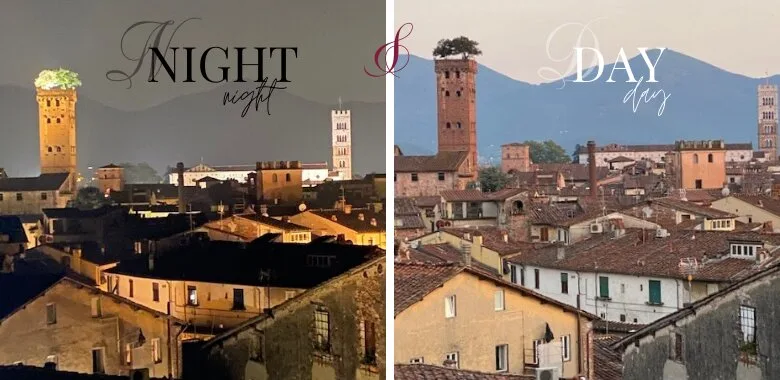 Guinigi Tower - day and night photos - ouritalianjourney.com