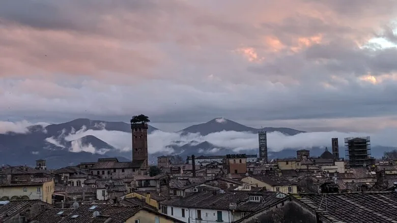 Guinigi Tower and the city of Lucca - ouritalianjourney.com