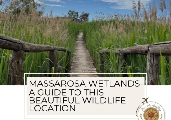 The Massarosa wetlands, Oasi LIPU Massaciuccoli are located just outside of Lucca. - ouritalianjourney.com