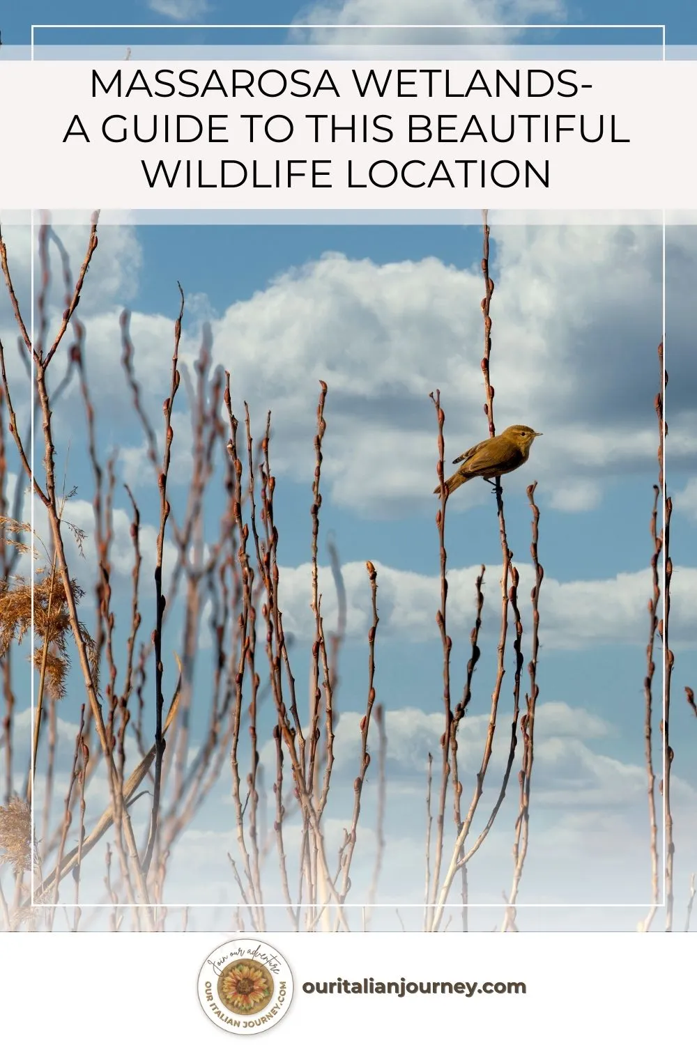 The Massarosa wetlands, Oasi LIPU Massaciuccoli are located just outside of Lucca. - ouritalianjourney.com