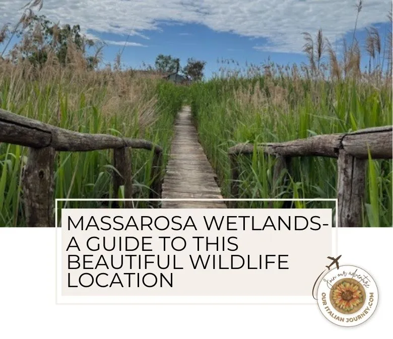 The Massarosa wetlands, Oasi LIPU Massaciuccoli are located just outside of Lucca. - ouritalianjourney.com