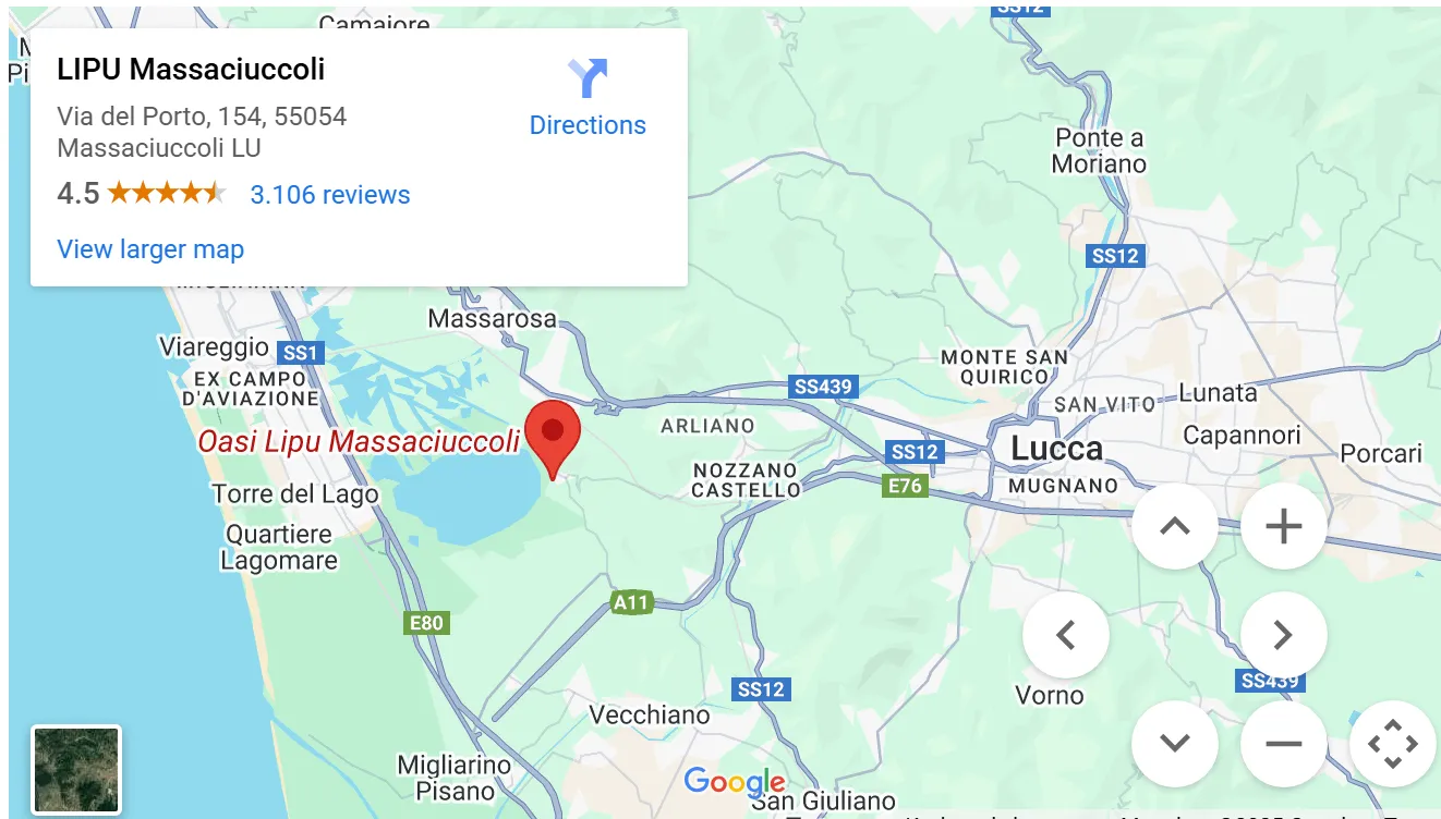 The Massarosa wetlands, Oasi LIPU Massaciuccoli are located just outside of Lucca. - ouritalianjourney.com