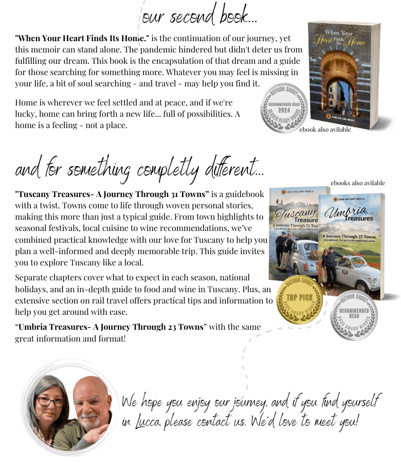 Ilene and Gary Modica information about books and blog - ouritalianjourney.com
