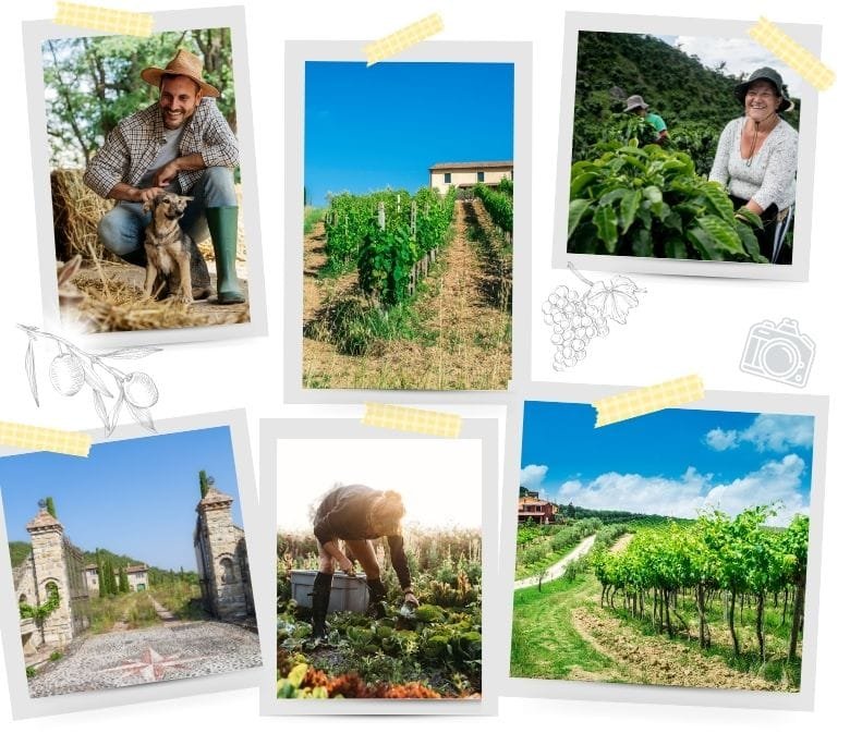 Agriturismo in Italy- we have 10 Incredible Stays for you in Tuscany and Umbria - ouritalianjourney.com