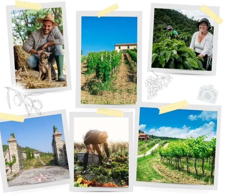 Agriturismo in Italy- we have 10 Incredible Stays for you in Tuscany and Umbria - ouritalianjourney.com