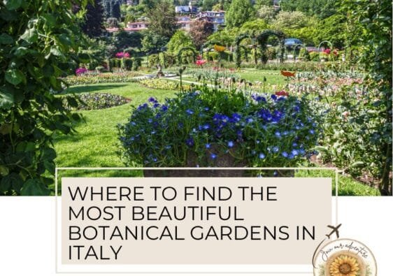 Botanical gardens in Italy are a must-see. We have highlighted some of the best - ouritalianjourney.com